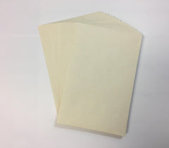 All-Purpose Envelopes - 20 Pack
