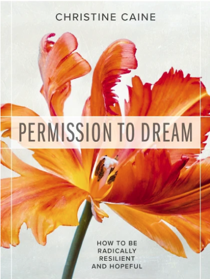 Permission To Dream