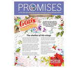 God's Protection Promise Puzzle