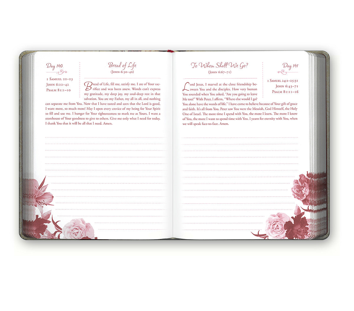 Pray Through the Bible in a Year Journal | FairHope Direct